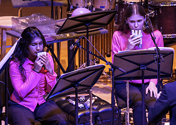 Two musicians in pink shirts playing instruments during a performance